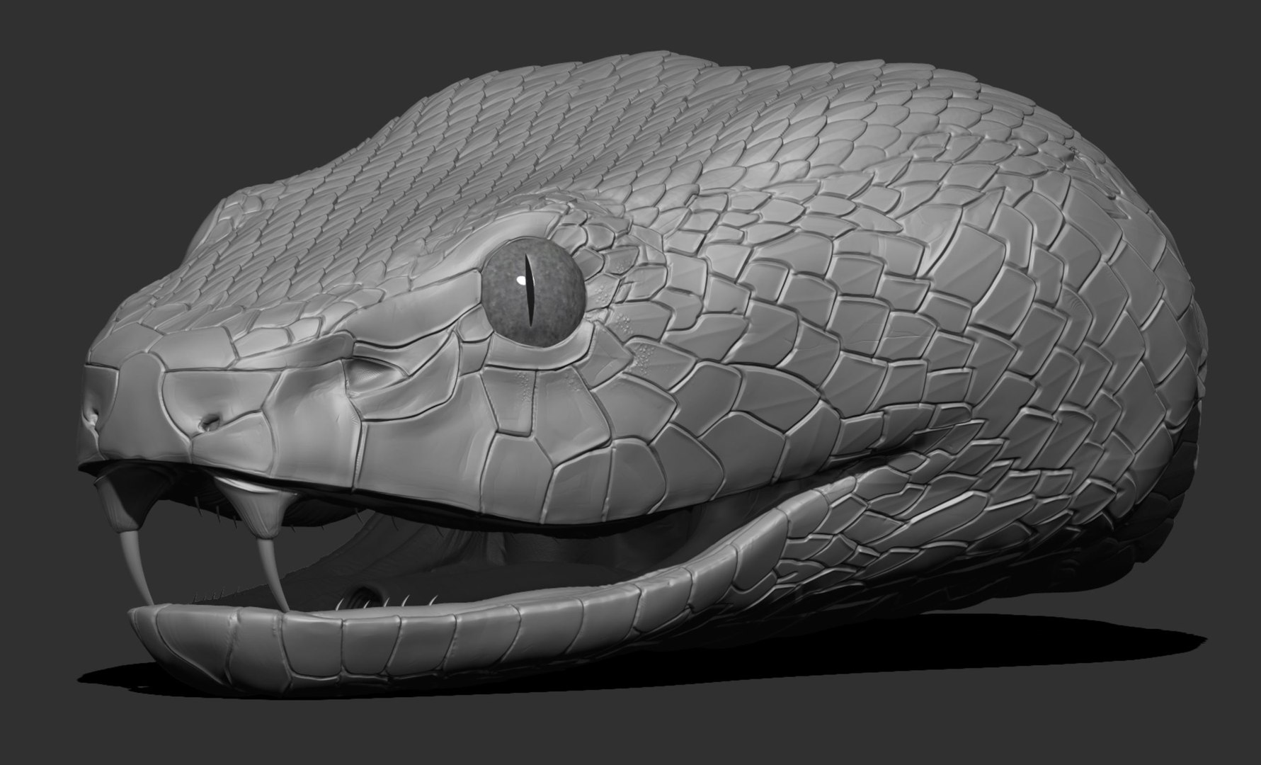Snake - 3D Print Model by Explorer