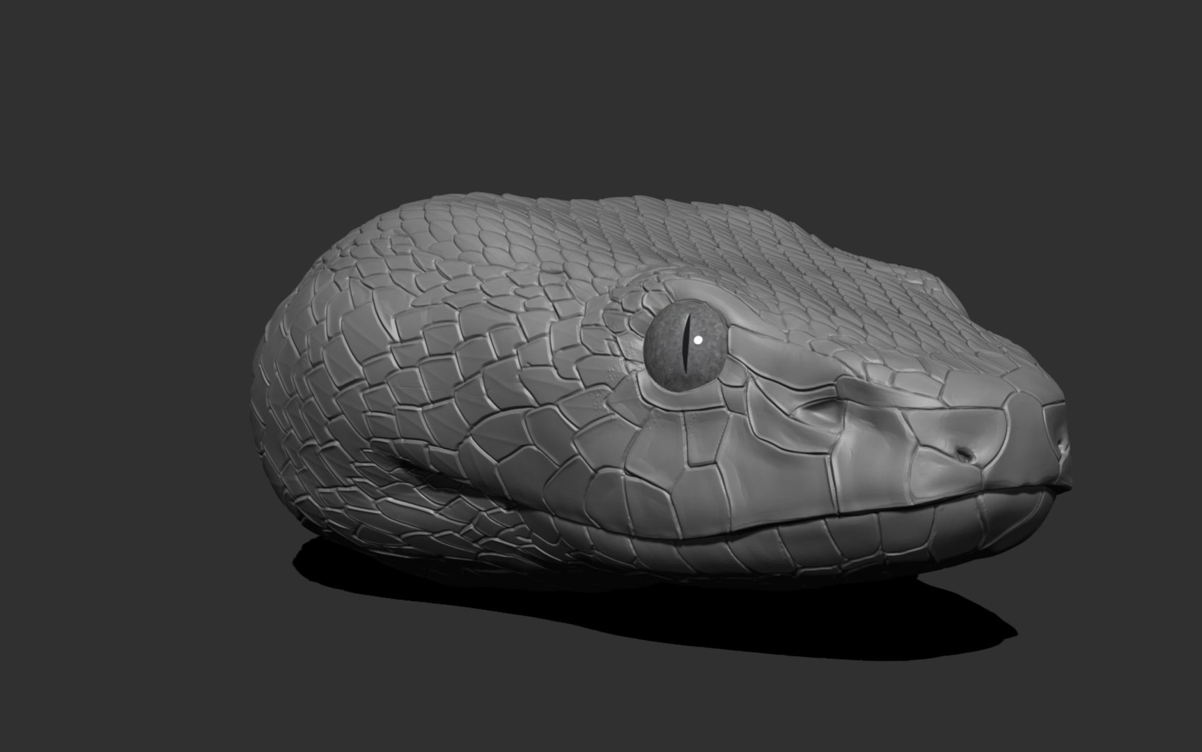 Snake Heads - 3D Printable - Buy Royalty Free 3D model by Bugawuga