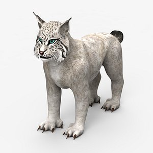 Lynx white