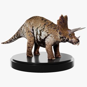 Triceratops