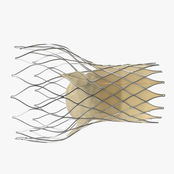 Catheter 3D Models for Download | TurboSquid