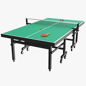 real ping pong table 3D