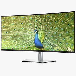 Dell UltraSharp 40 Curved WUHD Monitor U4021QW
