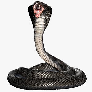 Cobra Snake Rigged