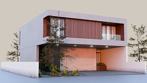 Modern Development Home