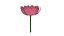 Plataforma de flores