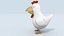 Cartoon Hen