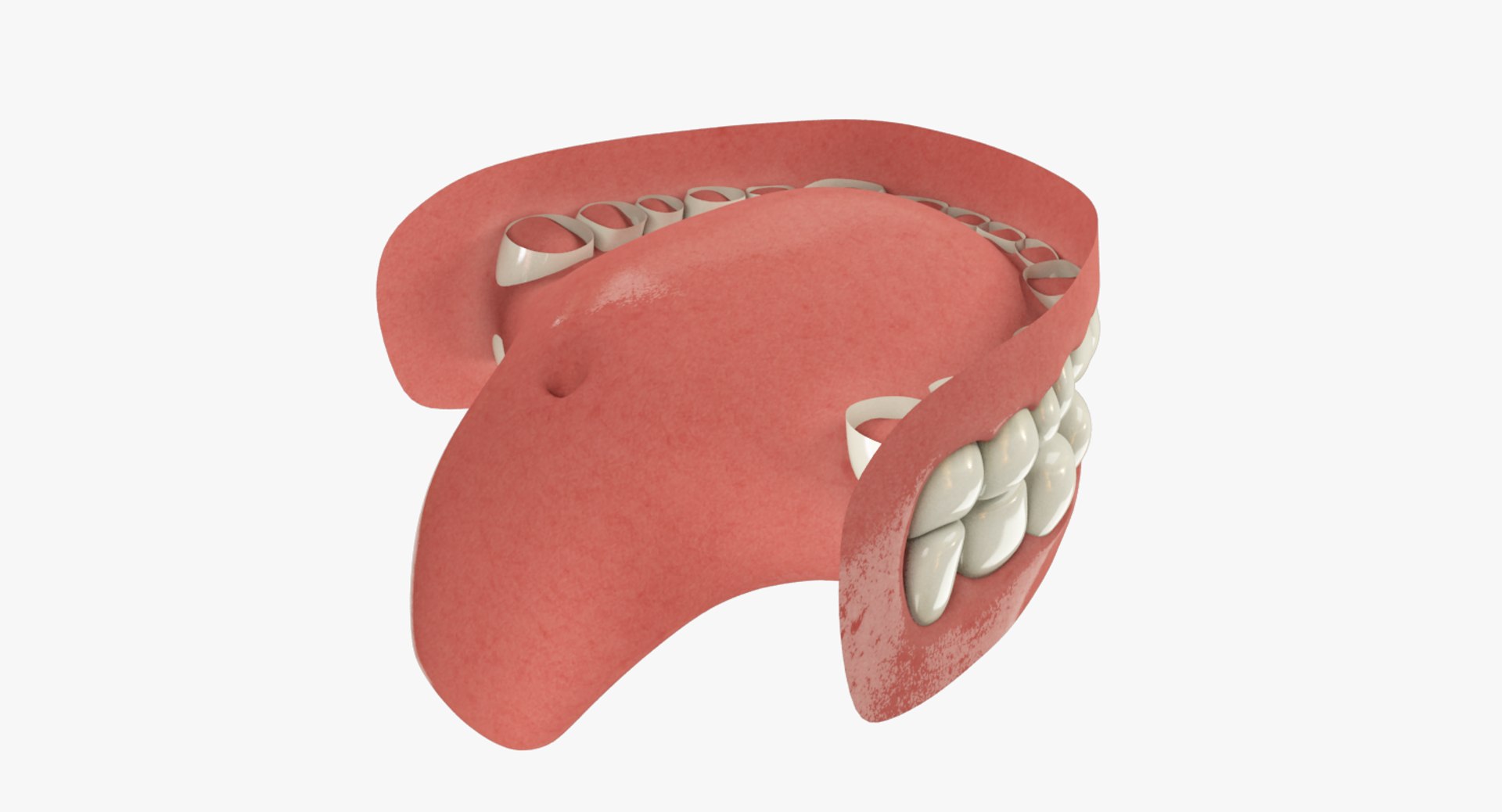 teeth gums tongue 3D model https://p.turbosquid.com/ts-thumb/5B/Gv8RPf/ILtXyCLP/004_05copy/png/1495220387/1920x1080/fit_q87/beafe71c85d07c67274af56c5b83a4c068caf654/004_05copy.jpg