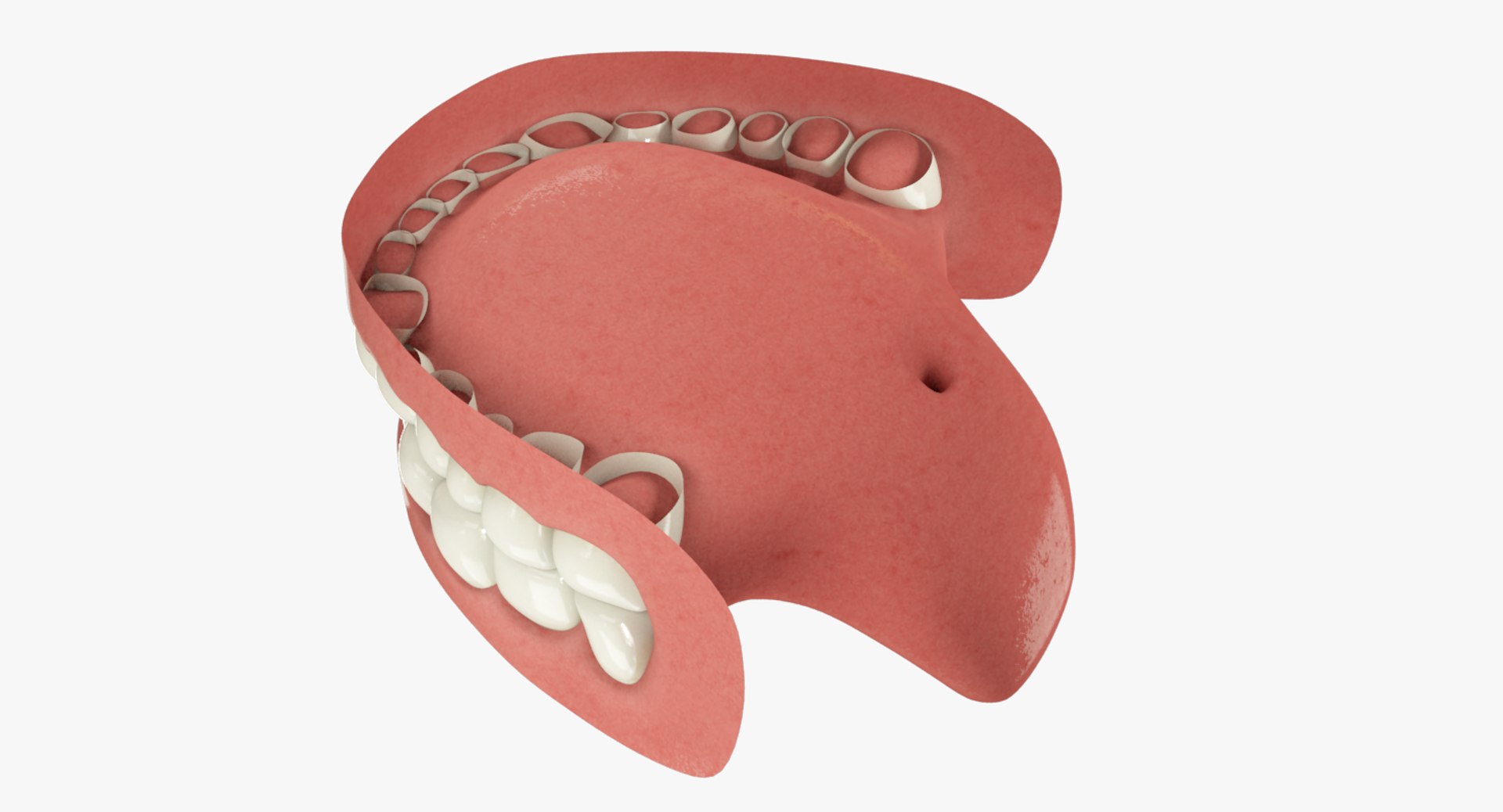 teeth gums tongue 3D model https://p.turbosquid.com/ts-thumb/5B/Gv8RPf/vzQhjlxw/004_06copy/png/1495220387/1920x1080/fit_q87/15e517ac24a26855e83e301f1a32be66cc822ac4/004_06copy.jpg