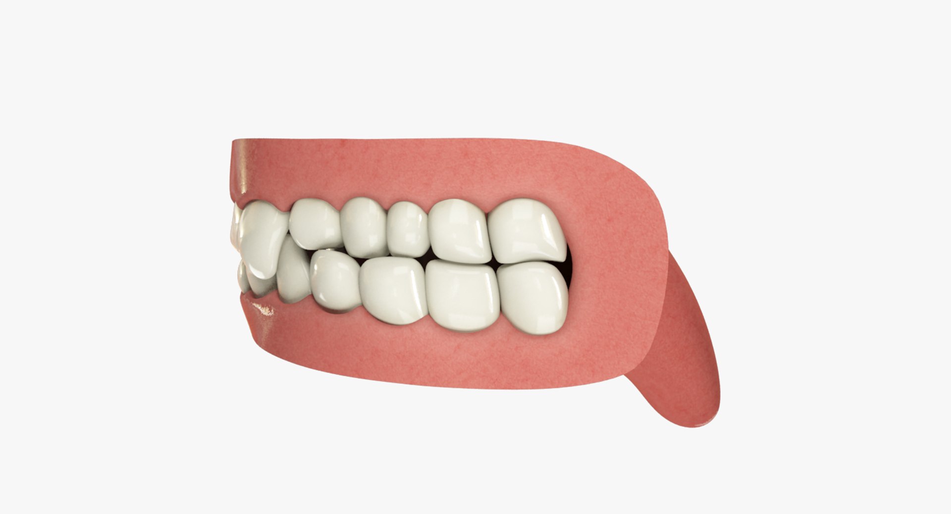 teeth gums tongue 3D model https://p.turbosquid.com/ts-thumb/5B/Gv8RPf/zi72Q6KQ/004_03copy/png/1495220387/1920x1080/fit_q87/a867bf86d64d70feb1884d04132c4a213bf89b48/004_03copy.jpg