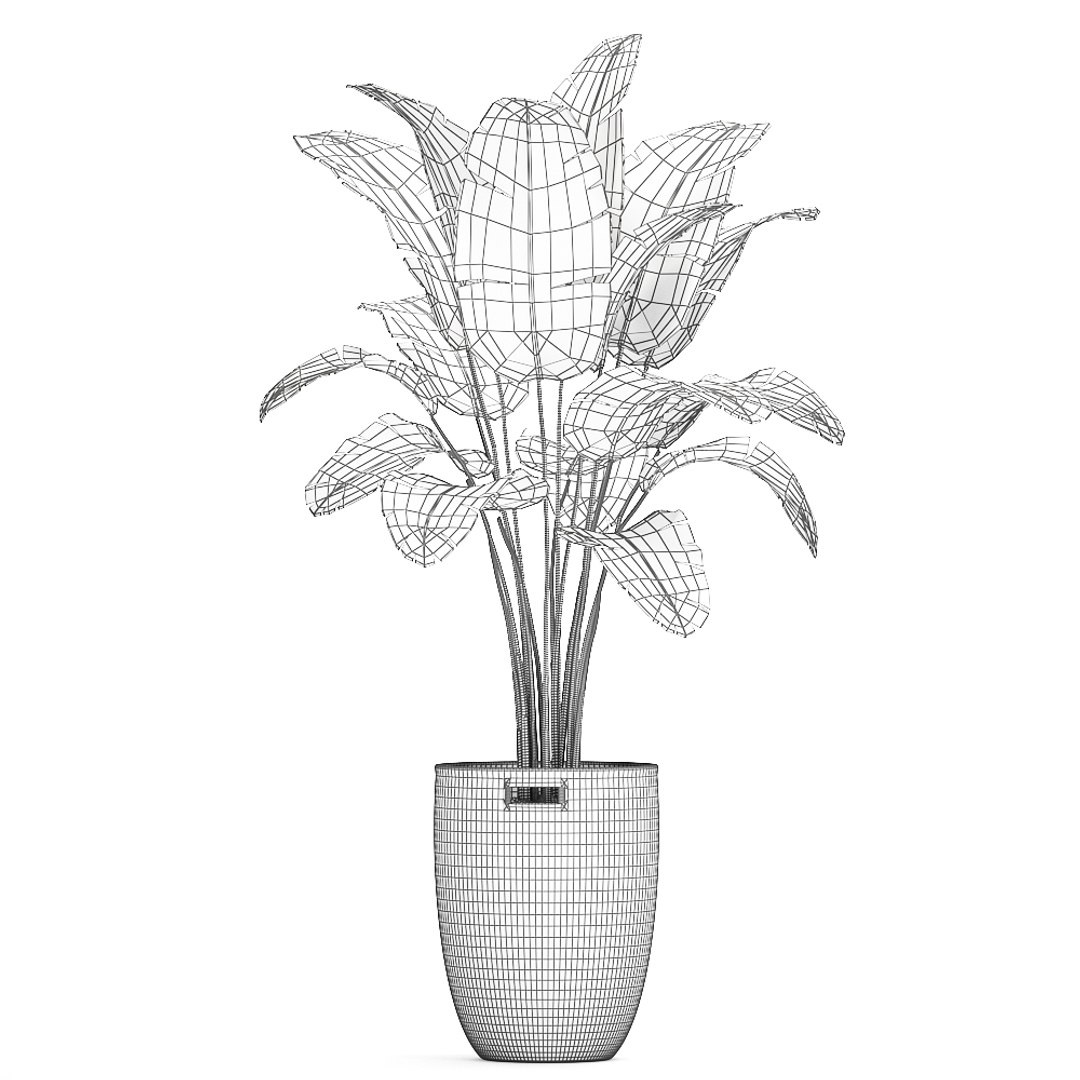 decorative banana palm tree 3D model https://p.turbosquid.com/ts-thumb/5B/HmriAe/VZ9cLKwp/plantsset0212202009/jpg/1606999007/1920x1080/fit_q87/6f508d026bea6391d7234a0afee4e6885462f08c/plantsset0212202009.jpg