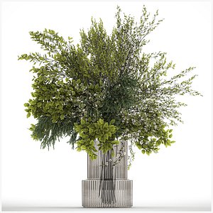 Bouquet Of Green Branches From The Garden