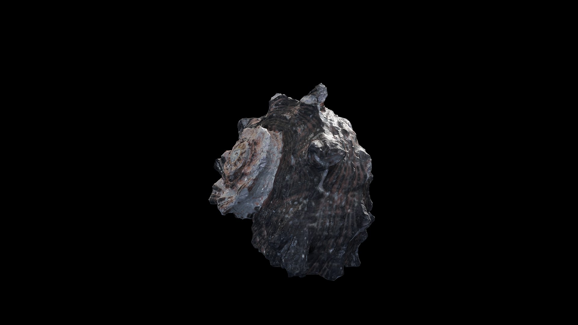 Anydrafts Sea snail 07 3D model https://p.turbosquid.com/ts-thumb/5B/OHqbti/bw/preview_6/png/1733793229/1920x1080/fit_q87/3c856026af6d60974e4530c253af8c3986368ad8/preview_6.jpg