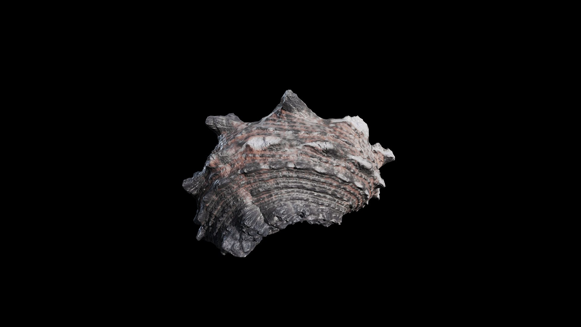 Anydrafts Sea snail 07 3D model https://p.turbosquid.com/ts-thumb/5B/OHqbti/oX/preview_3/png/1733793228/1920x1080/fit_q87/408cbf80e827c6f5156a79deec06316b4cf08284/preview_3.jpg