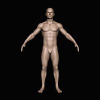 Human Body
