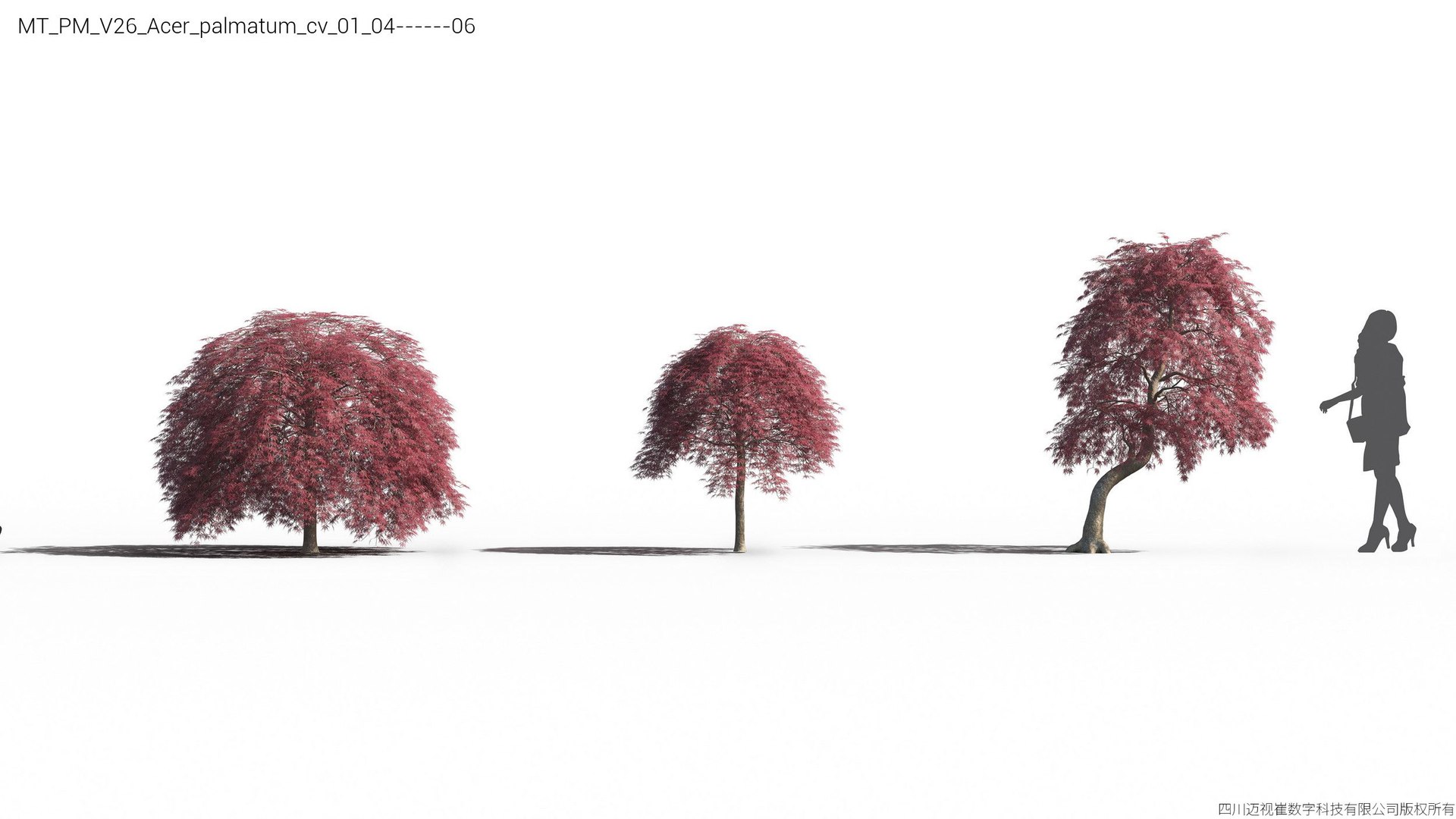 Plant Models Vol 26 - Mesh 3D model https://p.turbosquid.com/ts-thumb/5B/TIzRo9/2p/mt_pm_v26_acer_palmatum_cv_01_0406/jpg/1781170043/1920x1080/fit_q87/777137402f8e3b288ccb0416129ba2ec64817bb9/mt_pm_v26_acer_palmatum_cv_01_0406.jpg