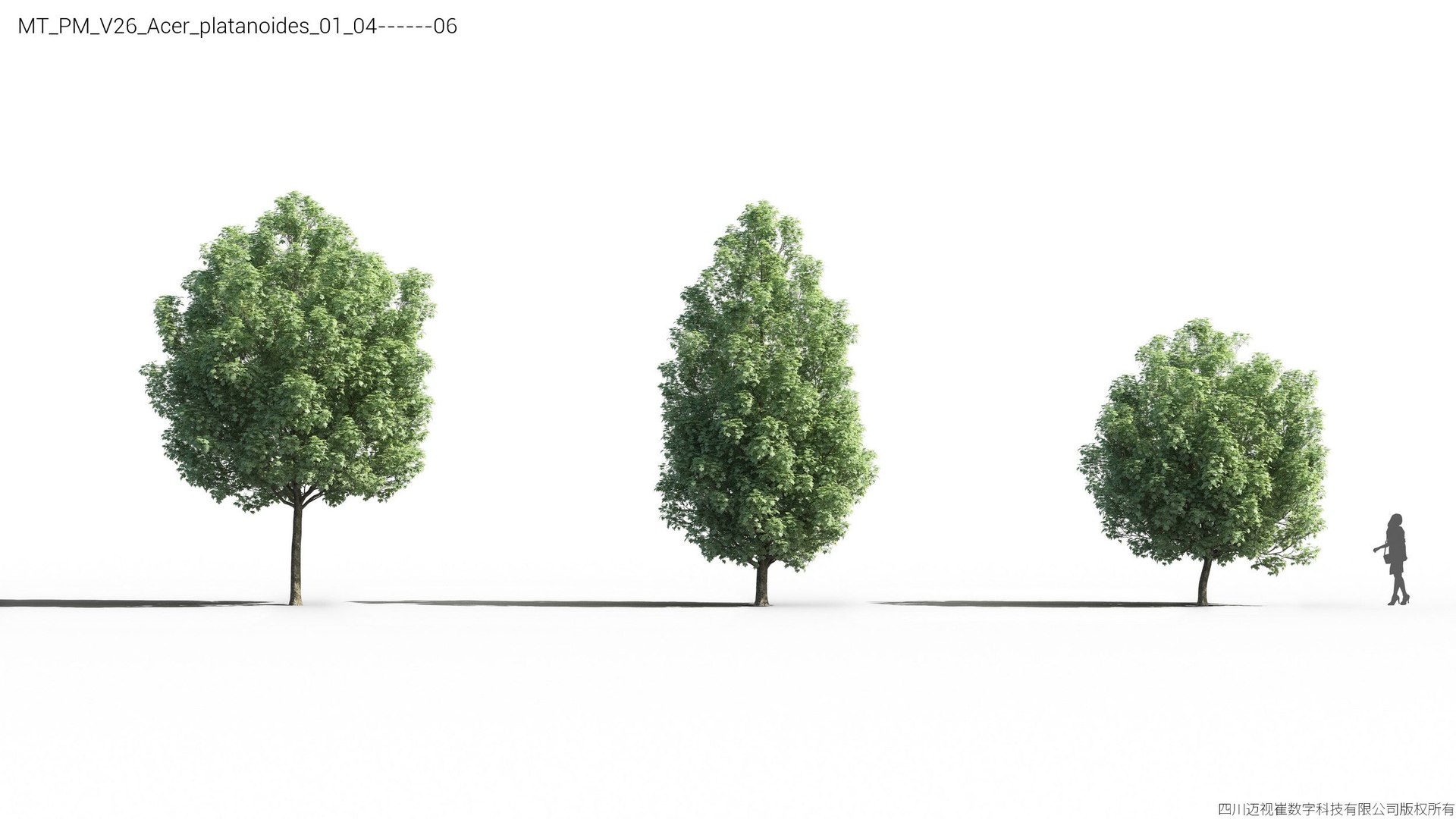 Plant Models Vol 26 - Mesh 3D model https://p.turbosquid.com/ts-thumb/5B/TIzRo9/Dz/mt_pm_v26_acer_platanoides_01_0406/jpg/1781170044/1920x1080/fit_q87/af6baec76a1c5c22b2a210033979c84ae2635ecf/mt_pm_v26_acer_platanoides_01_0406.jpg