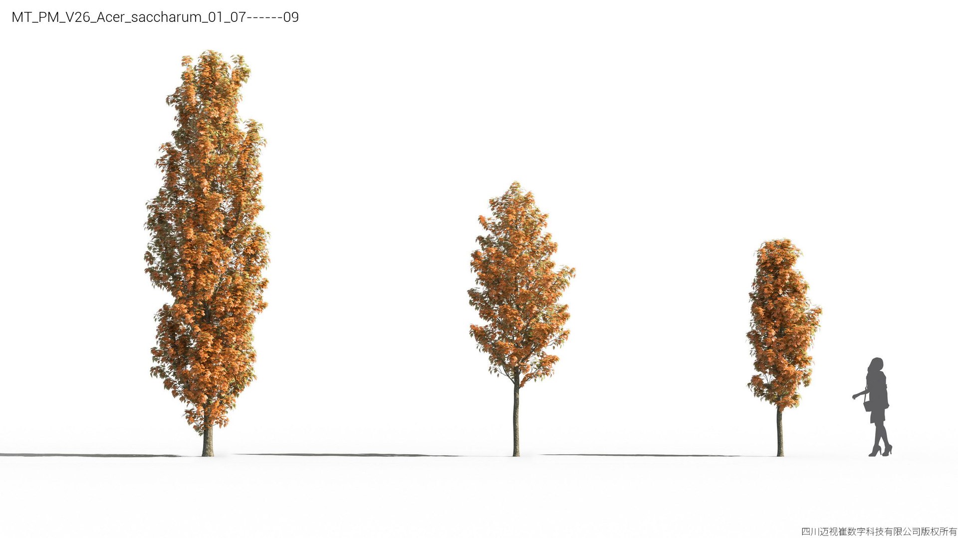 Plant Models Vol 26 - Mesh 3D model https://p.turbosquid.com/ts-thumb/5B/TIzRo9/SY/mt_pm_v26_acer_saccharum_01_0709/jpg/1781170046/1920x1080/fit_q87/7967845a7ae74b6759d20af12af0953622e4f398/mt_pm_v26_acer_saccharum_01_0709.jpg