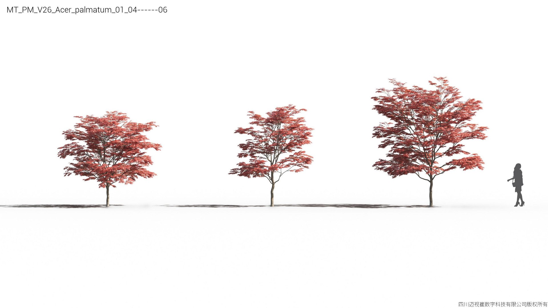 Plant Models Vol 26 - Mesh 3D model https://p.turbosquid.com/ts-thumb/5B/TIzRo9/Tq/mt_pm_v26_acer_palmatum_01_0406/jpg/1781170039/1920x1080/fit_q87/b51aca8f5e376d388ebc0c48309f71771a3edea4/mt_pm_v26_acer_palmatum_01_0406.jpg