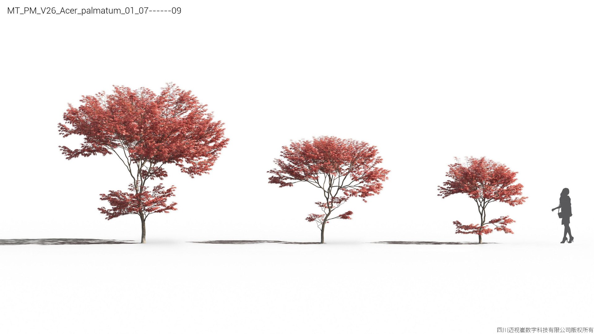 Plant Models Vol 26 - Mesh 3D model https://p.turbosquid.com/ts-thumb/5B/TIzRo9/c4/mt_pm_v26_acer_palmatum_01_0709/jpg/1781170040/1920x1080/fit_q87/bffc2dfb67766aeebe6086aae20f12594f535f3f/mt_pm_v26_acer_palmatum_01_0709.jpg