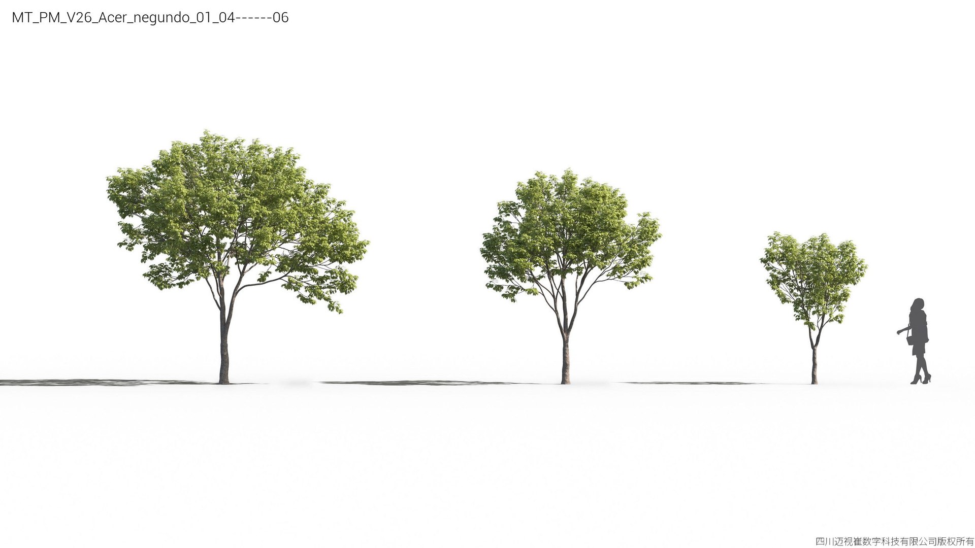 Plant Models Vol 26 - Mesh 3D model https://p.turbosquid.com/ts-thumb/5B/TIzRo9/lA/mt_pm_v26_acer_negundo_01_0406/jpg/1781170053/1920x1080/fit_q87/60b12681ab1c96b61dbf932929f6ab2fc3c5a489/mt_pm_v26_acer_negundo_01_0406.jpg