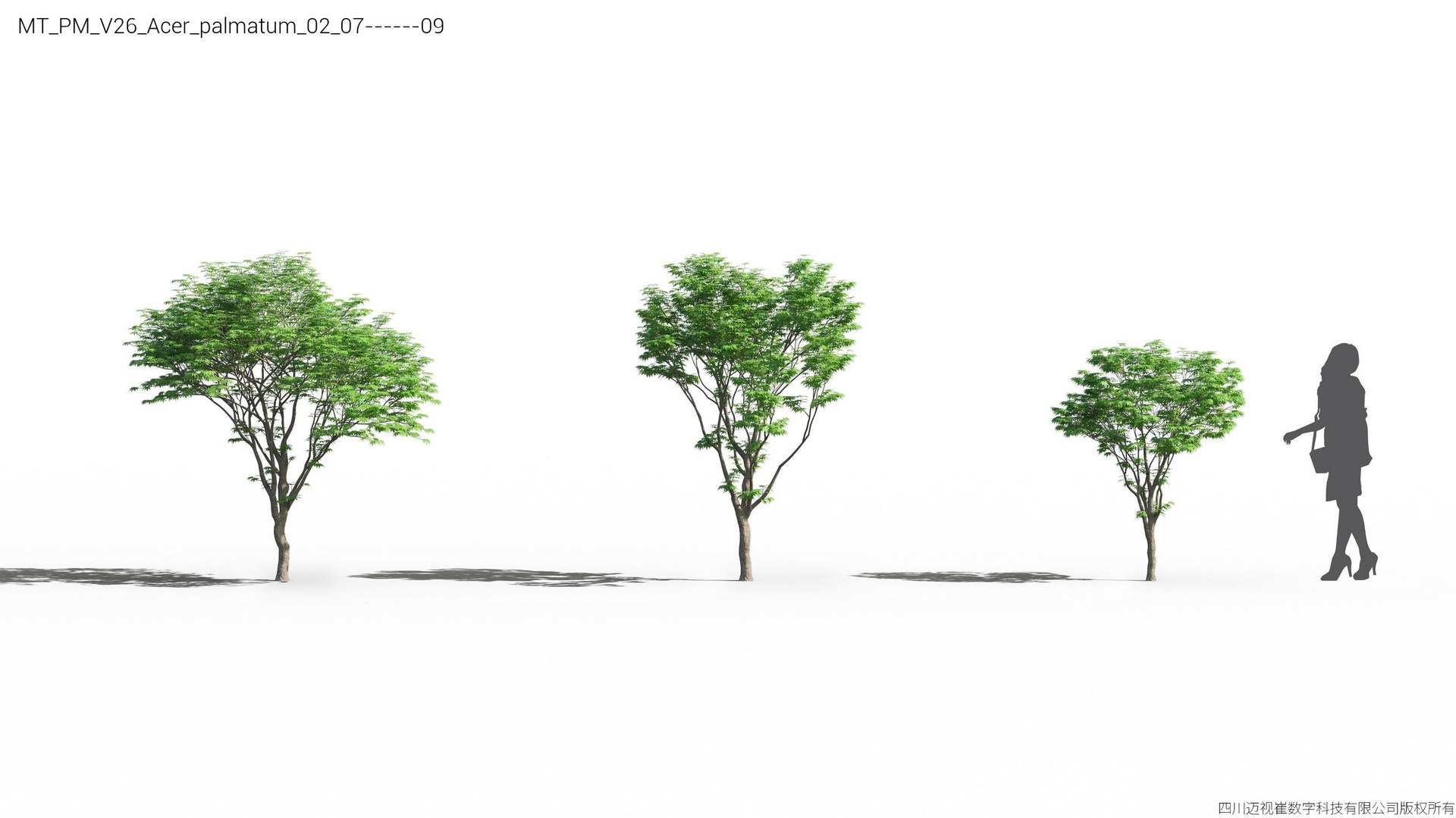 Plant Models Vol 26 - Mesh 3D model https://p.turbosquid.com/ts-thumb/5B/TIzRo9/nB/mt_pm_v26_acer_palmatum_02_0709/jpg/1781170041/1920x1080/fit_q87/ec97e5241ef1572fd929d905f487e1e05cd7326c/mt_pm_v26_acer_palmatum_02_0709.jpg