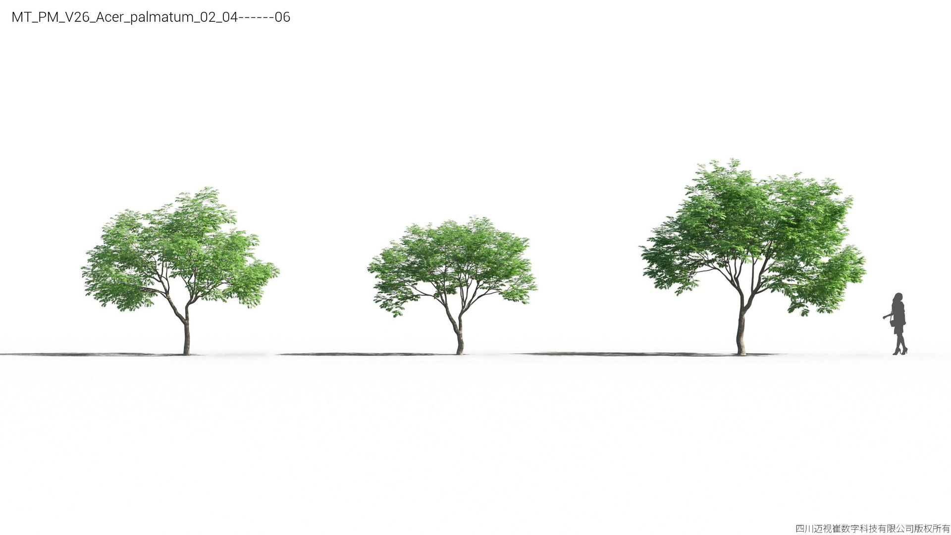 Plant Models Vol 26 - Mesh 3D model https://p.turbosquid.com/ts-thumb/5B/TIzRo9/qT/mt_pm_v26_acer_palmatum_02_0406/jpg/1781170041/1920x1080/fit_q87/1afd8c2e154504be22cad5be9e9b13bef69527fb/mt_pm_v26_acer_palmatum_02_0406.jpg