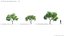Plant Models Vol 26 - Mesh