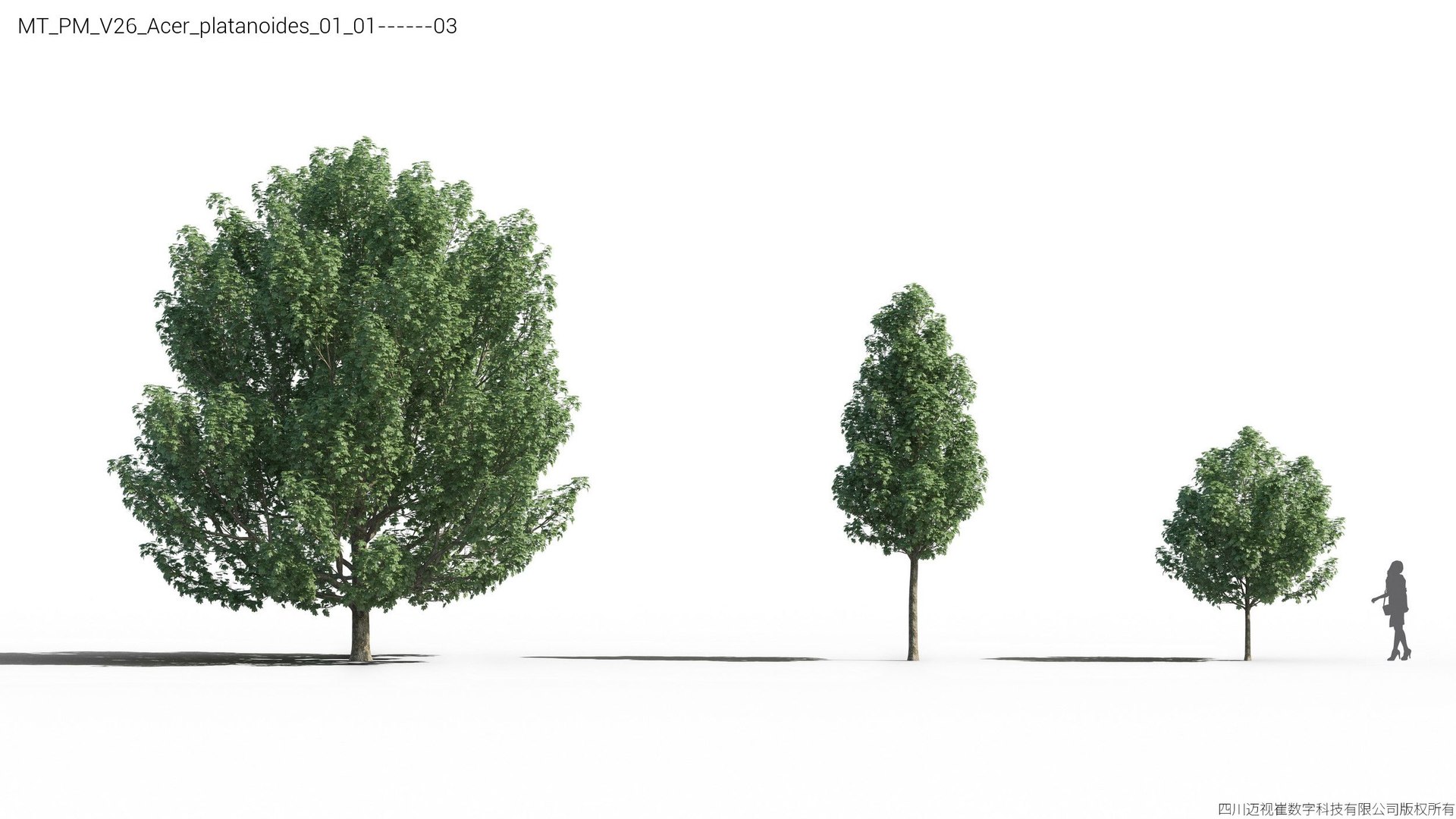 Plant Models Vol 26 - Mesh 3D model https://p.turbosquid.com/ts-thumb/5B/TIzRo9/vo/mt_pm_v26_acer_platanoides_01_0103/jpg/1781170044/1920x1080/fit_q87/19467a49d194cd6d24fd7e7c1013cd29023ddd82/mt_pm_v26_acer_platanoides_01_0103.jpg