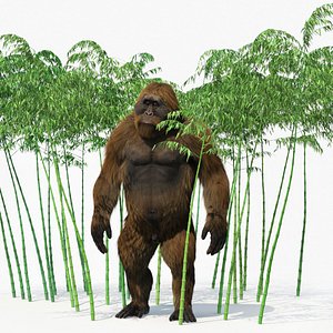 Big Ape Gigantopithecus in Bamboo Grove Fur