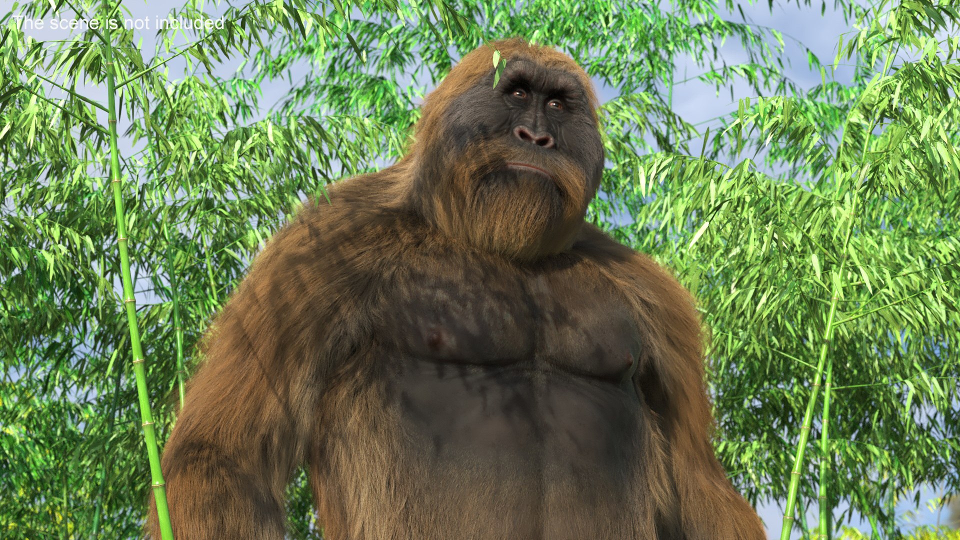 3D Model Big Ape Gigantopithecus In Bamboo Grove Fur - TurboSquid 2311895
