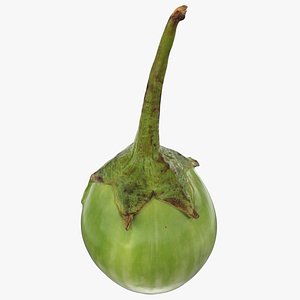 Round Green Eggplant 02 3D