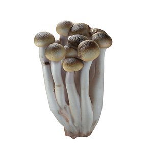 Mushroom 16 3D model