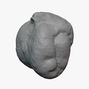 Dry Garbanzo Bean 01 - For 3D Print 3D model