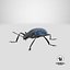Gibbifer Californicus Beetle 3D Model
