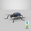 Gibbifer Californicus Beetle 3D Model