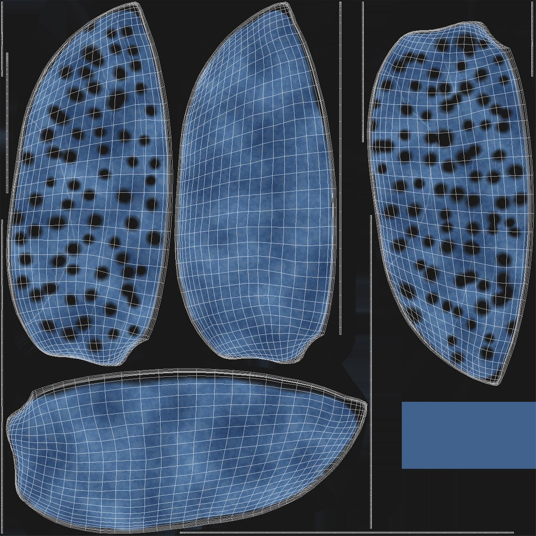 3d gibbifer californicus beetle https://p.turbosquid.com/ts-thumb/5B/d9lxwh/dylgPx2V/gibbifercalifornicusbeetle20/jpg/1452582947/1920x1080/fit_q87/0fd3f035ba26b43921ebfc6f42f80adcbf48b0e9/gibbifercalifornicusbeetle20.jpg