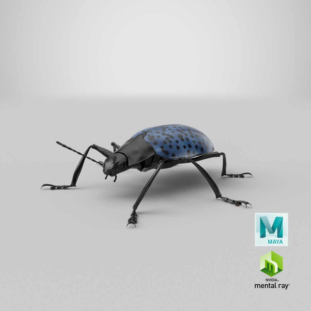 3d gibbifer californicus beetle https://p.turbosquid.com/ts-thumb/5B/d9lxwh/fl/stemcell_maya_mental_ray_render/png/1662231551/1920x1080/fit_q87/a7a3f6f2caf1cd6ff3c213b14ceba843e7ef86da/stemcell_maya_mental_ray_render.jpg
