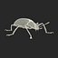 Gibbifer Californicus Beetle 3D Model