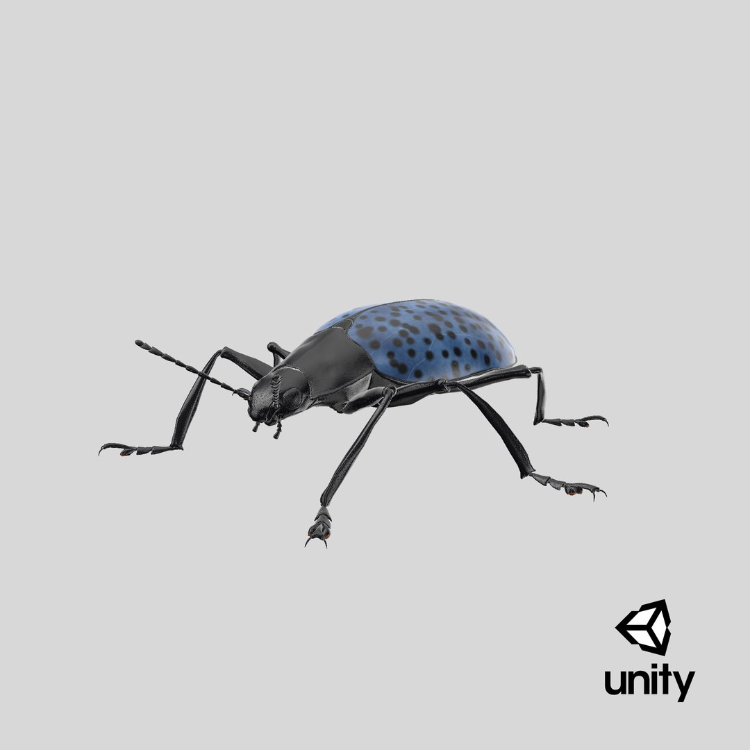 3d gibbifer californicus beetle https://p.turbosquid.com/ts-thumb/5B/d9lxwh/yC/stemcell_unity_render/png/1662231542/1920x1080/fit_q87/a47e7b920aff1cd48e5d68916ab4dbb66768611c/stemcell_unity_render.jpg
