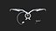 Devil Horns Trident Halo Evil Angel Wings - Low poly