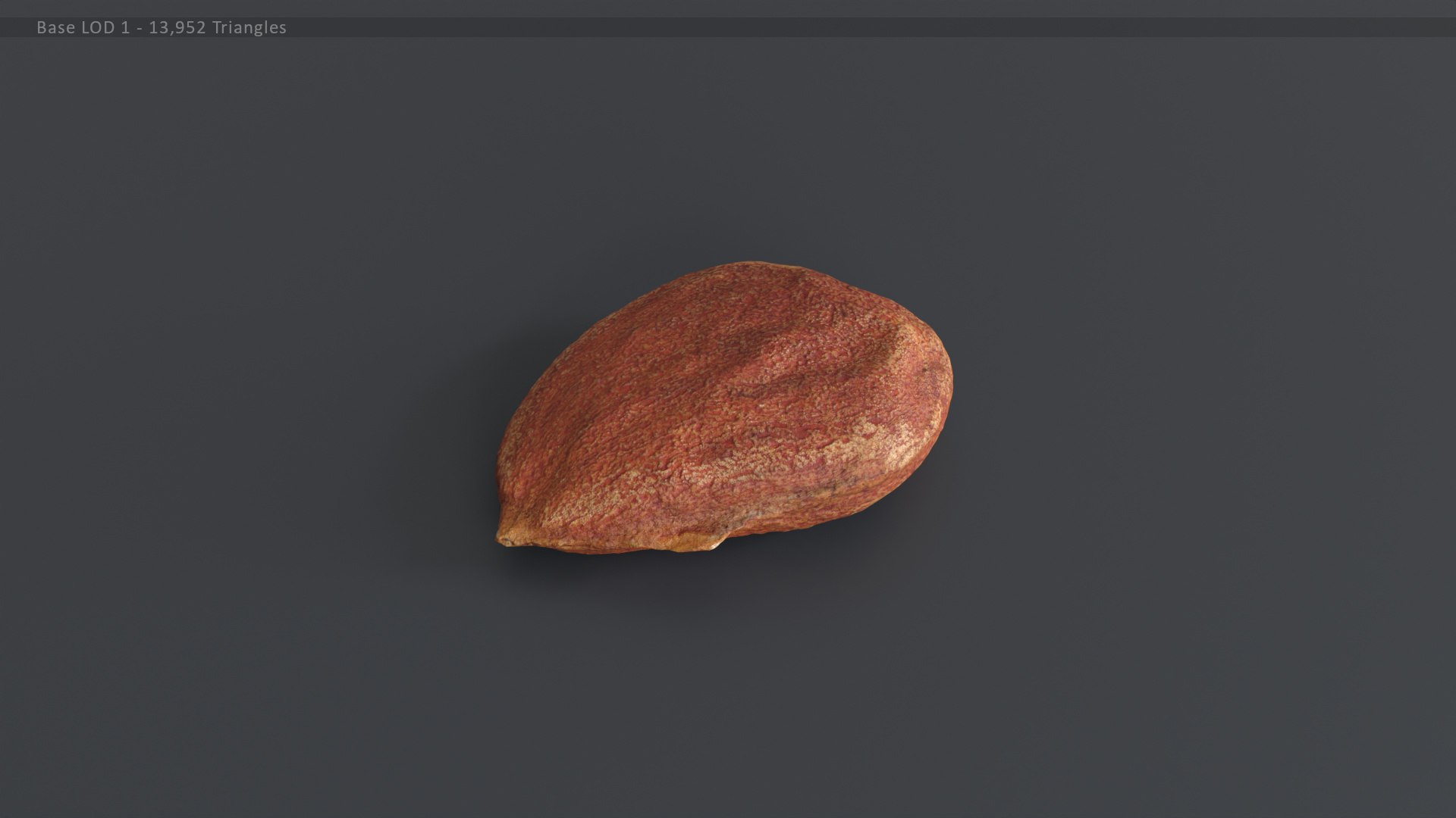 Almond Kernel 1 model TurboSquid 2142433