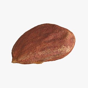 Almond Kernel 1 model