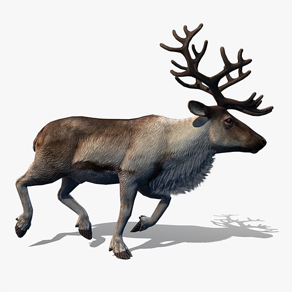 Deer 3D Models for Download | TurboSquid