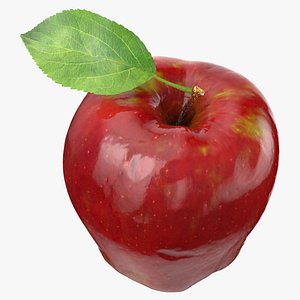 3D red apple leaf model