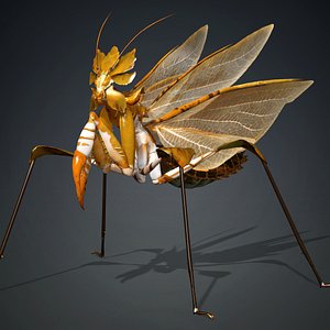 Mantis-A2 3D model