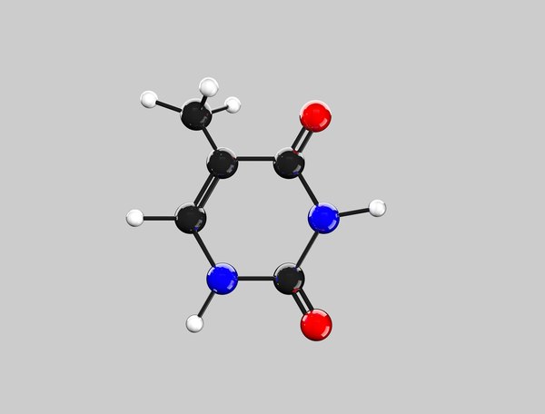 ball thymine 3D