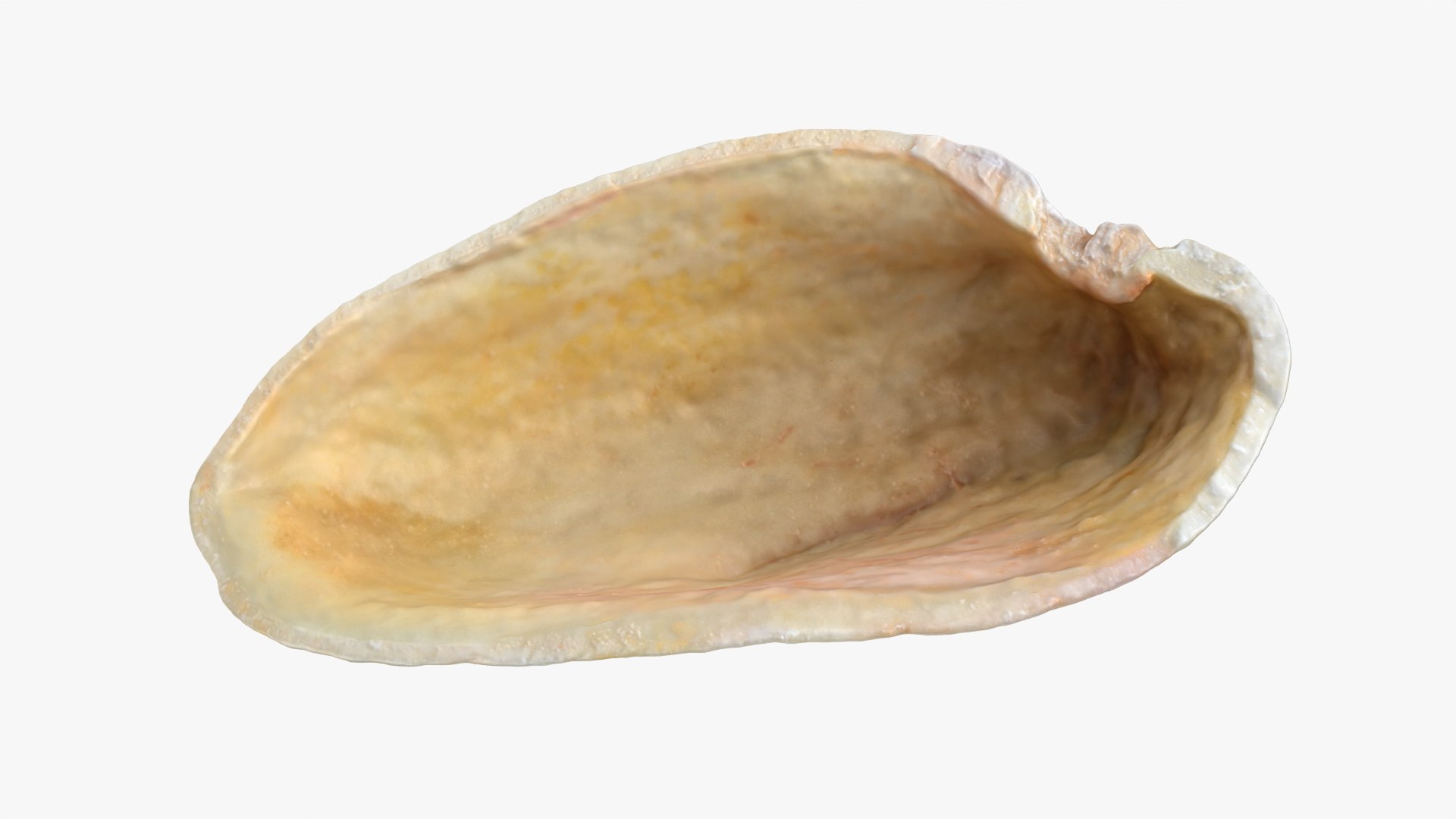 Empty Pistachio Shell 02 model https://p.turbosquid.com/ts-thumb/5C/iaVXBD/0G/pistachioshell2_0005/png/1755085465/1920x1080/fit_q87/edd81501be7dbfa7194546049a108886564eaeee/pistachioshell2_0005.jpg
