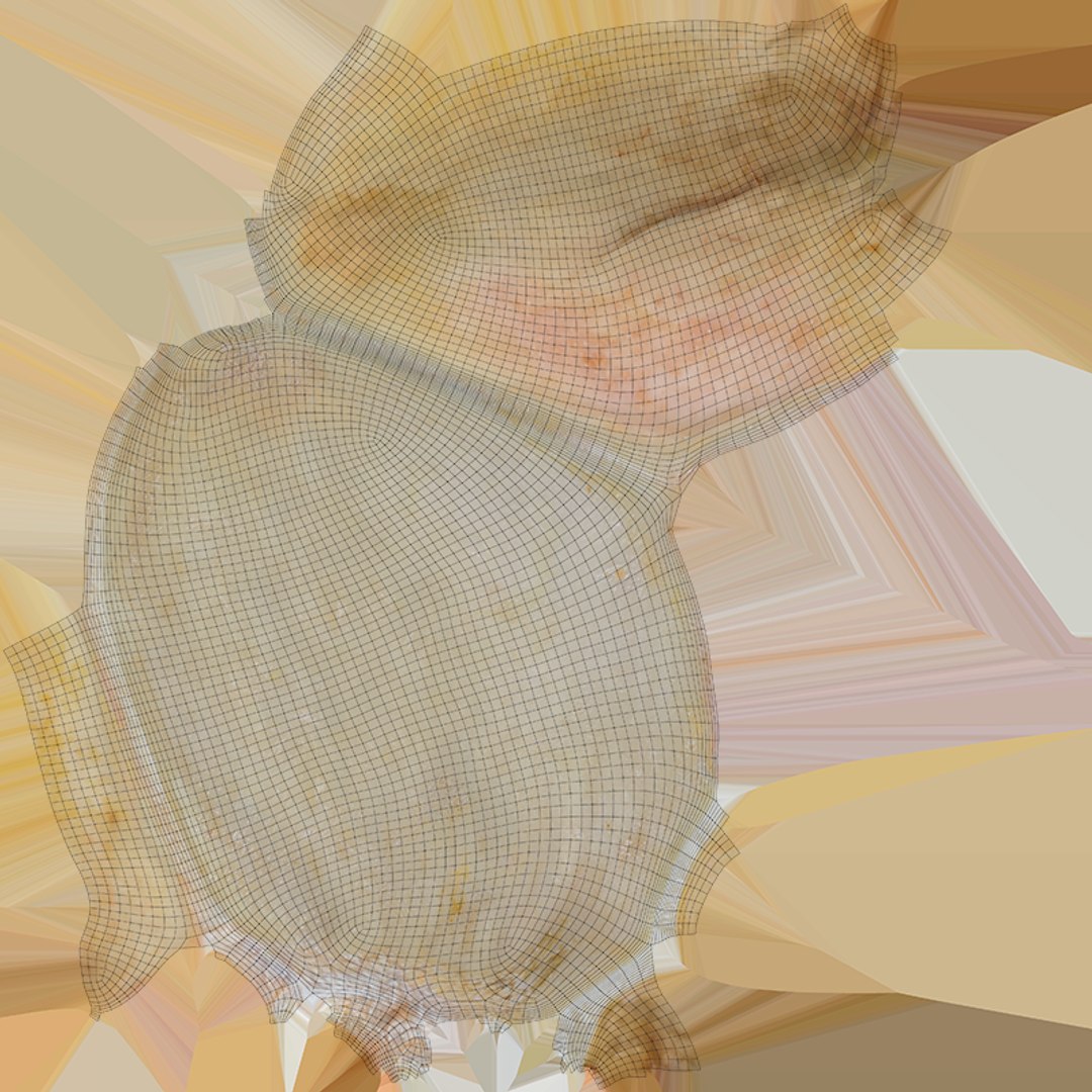 Empty Pistachio Shell 02 model https://p.turbosquid.com/ts-thumb/5C/iaVXBD/9Q/pistachioshell2_c0004/png/1755085470/1920x1080/fit_q87/d96d6ece043c43791b87f121fffebf7f2383faa8/pistachioshell2_c0004.jpg