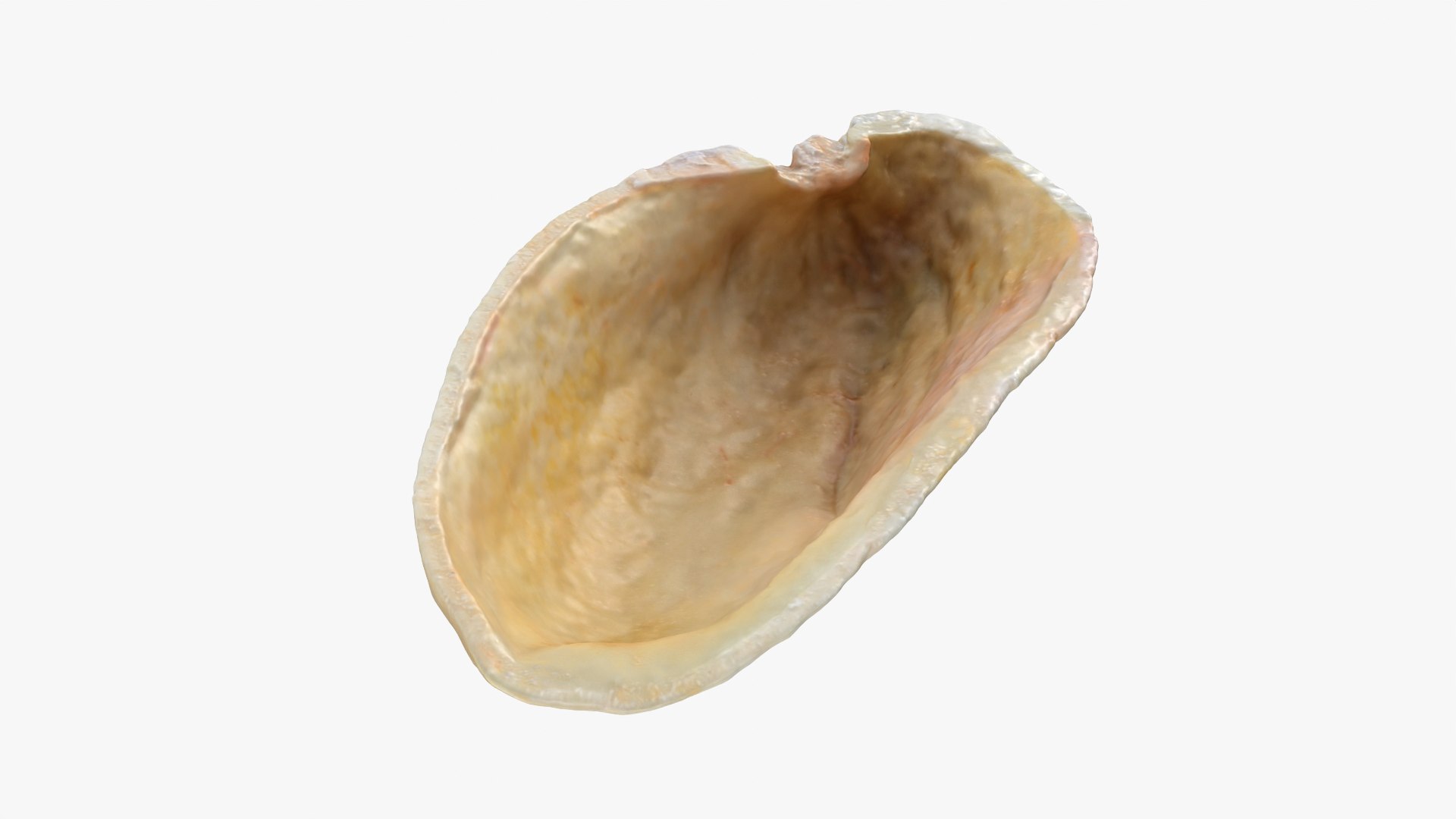 Empty Pistachio Shell 02 model https://p.turbosquid.com/ts-thumb/5C/iaVXBD/TR/pistachioshell2_0004/png/1755085463/1920x1080/fit_q87/6de052049fee49588d4a990b7f2399fb1c63cb2d/pistachioshell2_0004.jpg